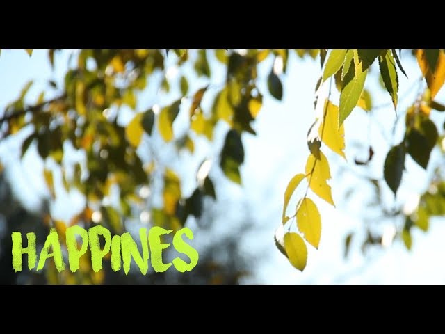 Happiness by Chillout Area \\ (Royalty Free Chillout Music & Videos)