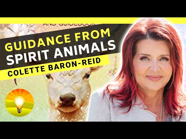 🌟You'll Never Look at Animals the Same Way Again! Animal Symbolism | COLETTE BARON REID