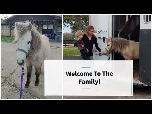 Welcome To The Family // Vlog