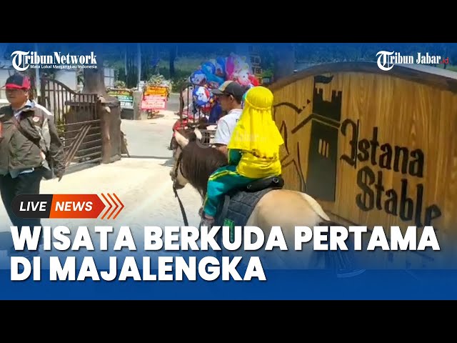 WISATA MAJALENGKA NIH! Rasain Sensasi Menunggang Kuda Impor dari Jerman hingga Australia, yuk