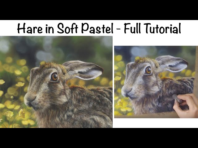 Painting a Hare on Pastelmat in Soft Pastel - Full Narrated Tutorial