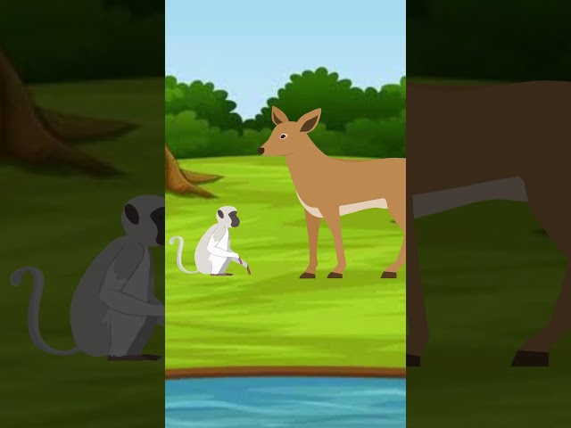 Bandar Ka Bachcha | The Story Hunter | Cartoon | #cartoonanimal