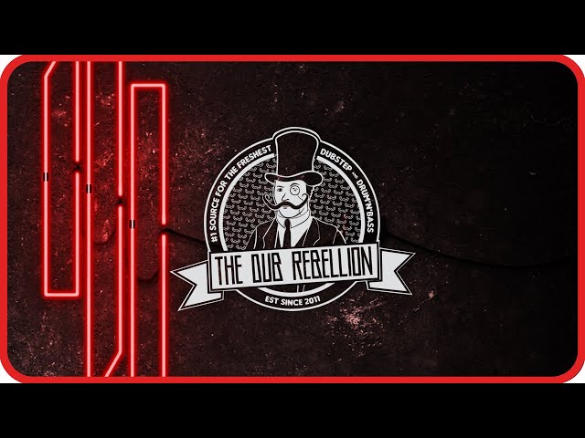 Skrillex & Damian Marley - Make It Bun Dem (XaeboR Remix)