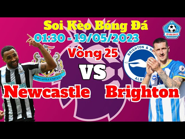 Soi kèo Newcastle vs Brighton | 01h30 Ngày 19/05 - Ngoại Hạng Anh Vòng 35 | SOI KÈO VIỆT DŨNG