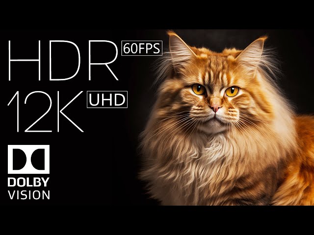 Real Clarity 12K HDR 60fps | Dolby Vision