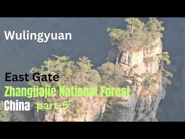 Wulingyuan Gate | Zhangjiajie National Forest Park | Part -5 |