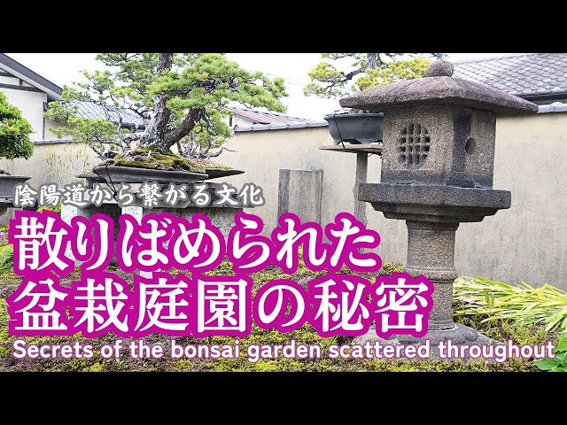 Secrets scattered throughout the garden of Uchiku-tei Hanyu