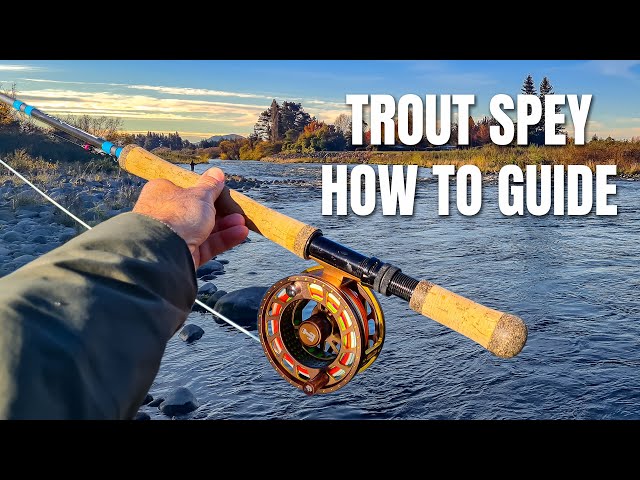 Trout spey for beginners, what you need to know