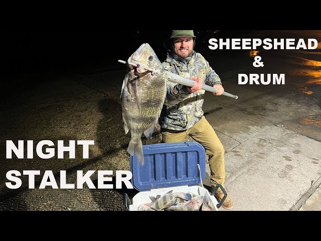 GIGGING For SHEEPSHEAD And DRUM {SPEAR CLEAN COOK}