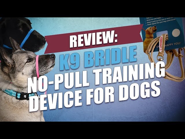 Review: K9 Bridle No-Pull Training Device for Dogs