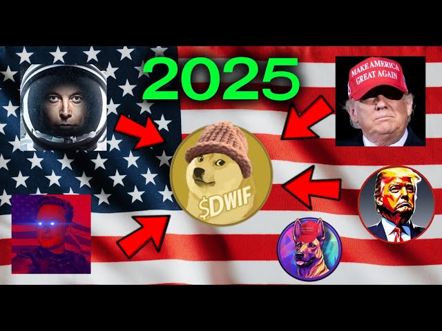 TRUMP ELON DOGE 2025 Meme Coins - Buy BEFORE the hype sell BEFORE the event