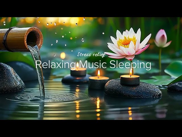 Relaxing Music & Water Sounds - Soothing Relaxation Music, Sleep Music, Meditation Music, Calming