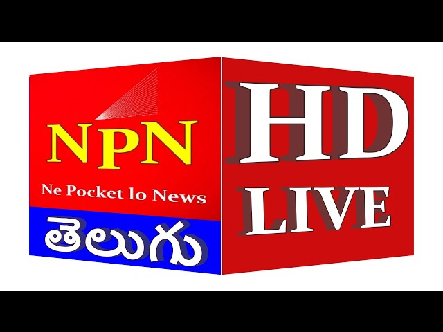 Telugu News|| 24/7 LIVE NEWS ||#live #newschandrababu NPN TELUGU NEWS LIVE || TELUGU NEWS LIVE ||