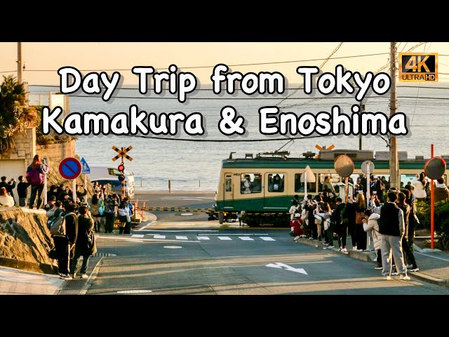 Tokyo First Time Tips | Best Day Trip Place To Visit : Kamakura & Enoshima | Japan Travel VLOG |