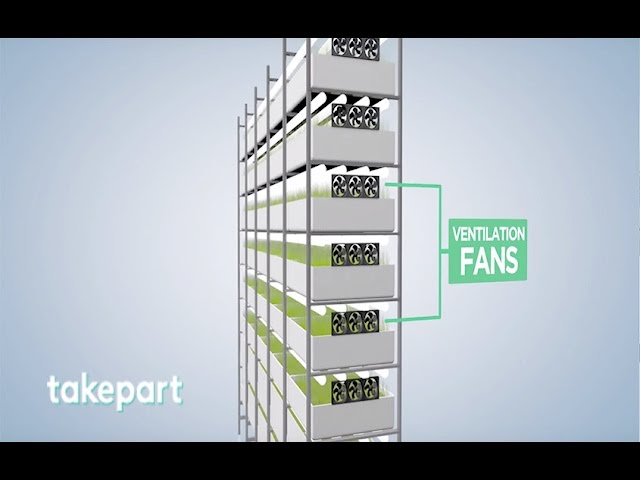 Vertical Farms | Design and Innovation | TakePart