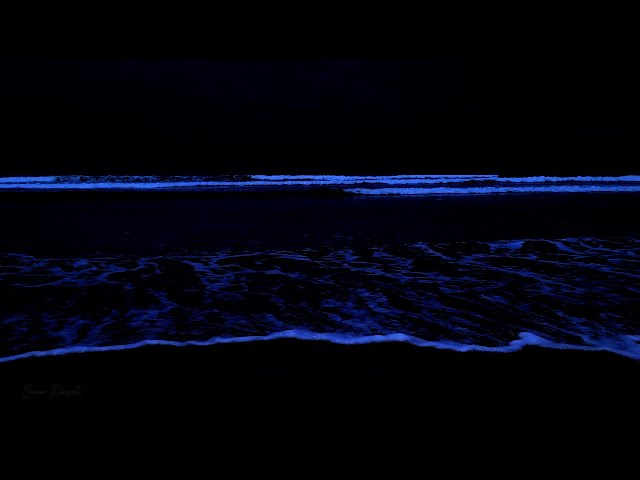 Fall asleep in less than 3 minutes with 48 hours of ocean sounds and crashing waves at night