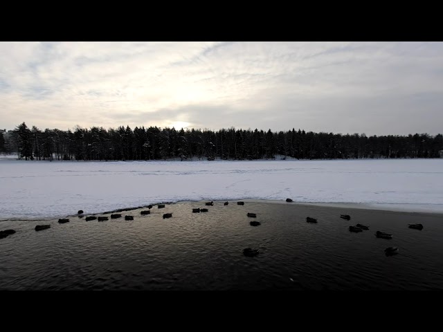 DigiCore: VR180 Frozen lake - Canon’s New RF5.2mm F2.8 L Dual Fisheye Lens