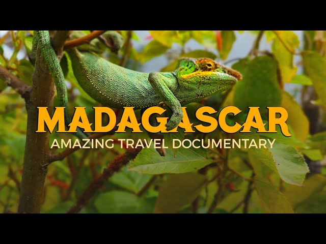 Madagascar – Where to Travel? Nosy Be to Mainland: Lemurs, Sea Turtles, Chameleons, Baobab & Islands