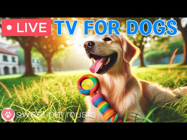 🔴 24 Hours of Anti Anxiety Dog TV｜Relaxing Music for Dogs& Fast-Boredom Busting Videos for Dog Music