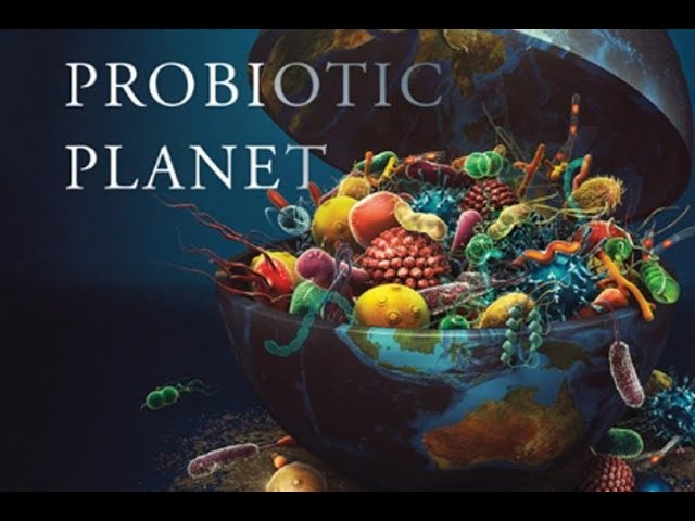 'Probiotic agriculture: using life to regenerate the food system' with Prof Jamie Lorimer