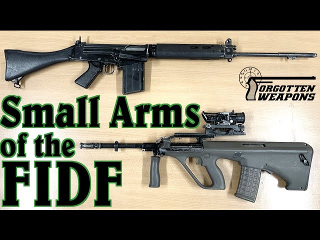 Small Arms History of the Falkland Islands Defense Force