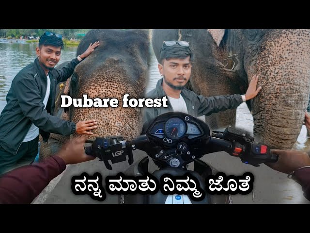 Dubare forest 🐘|| ನನ್ನ ಮನದಾಳದ ಮಾತು ನಿಮ್ಮ ಜೊತೆ ❤️ ||