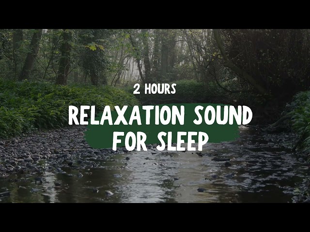 Calming Nature Sounds for Deep Sleep