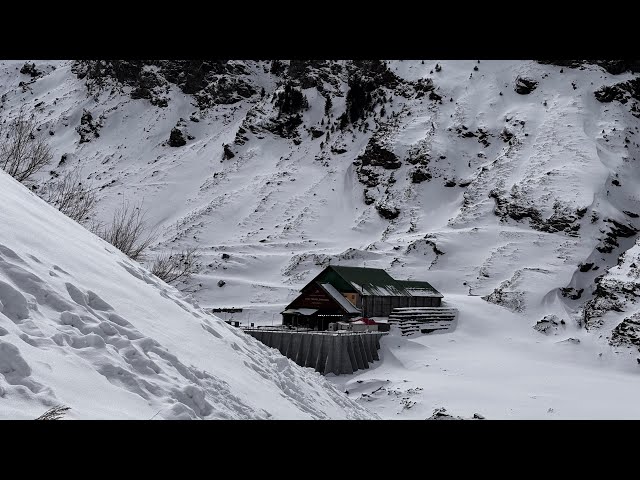 Heavy Snowfall  || यहां पर है सबसे ज्यादा बर्फ || Manali to yangla full Road trip || Best snow point