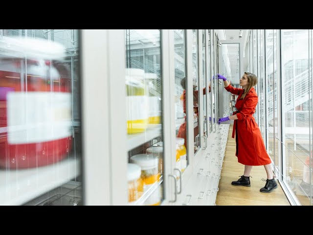 The Secret History of the Color Red: Virtual Tour of Forbes Pigment Collection with Alison Cariens