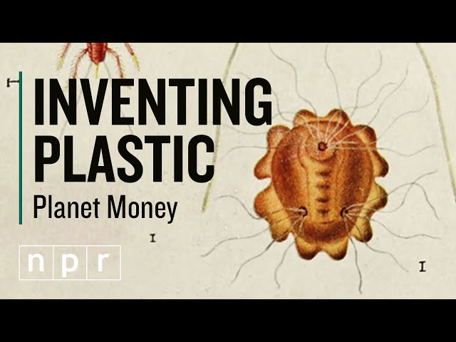 Plastic Was Invented To Replace Bugs | Planet Money | NPR