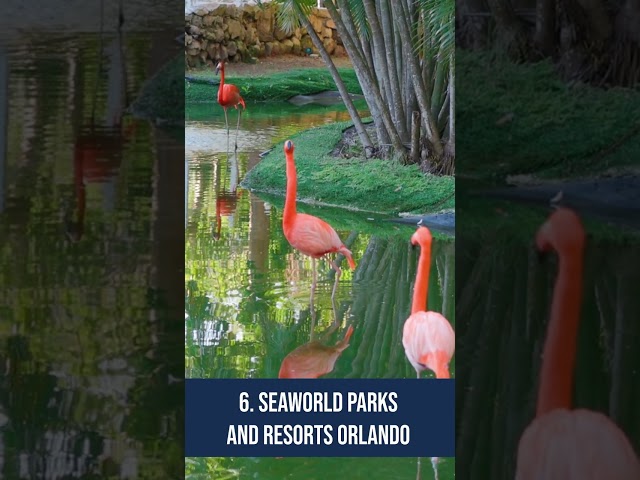 Orlando Travel Guide: Fun Things to Do in Orlando, Florida 🌎