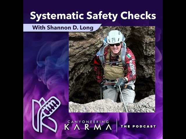 Systematic Safety Checks