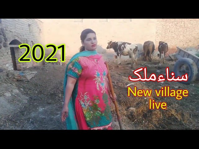 New latest sana malik village vlogs new 2022 jhamat vlogs.@JhamatVlogs