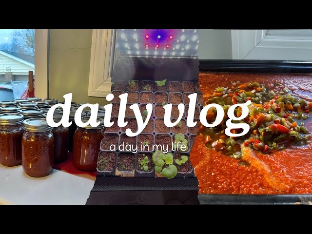 VLOG | Canning Sauce, Potting Up, Hard Cider & More