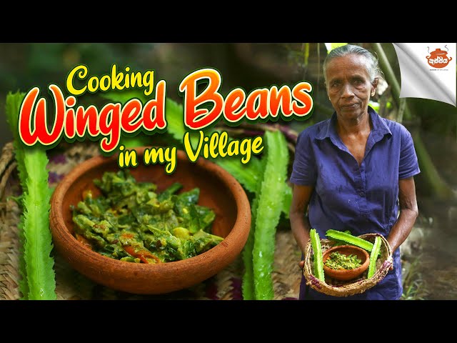 Cooking winged Beans in my village | Cuisineofsrilanka