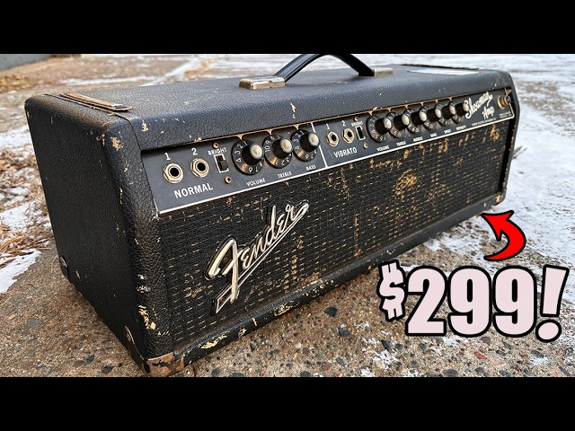 Pawn Shop Score!🏆| Vintage Fender Showman Restoration