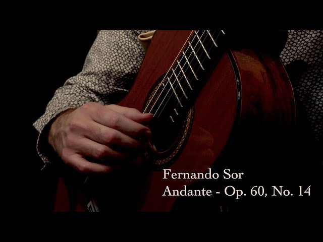 Fernando Sor - Andante, Op. 60, No. 14 | Steven Kennedy