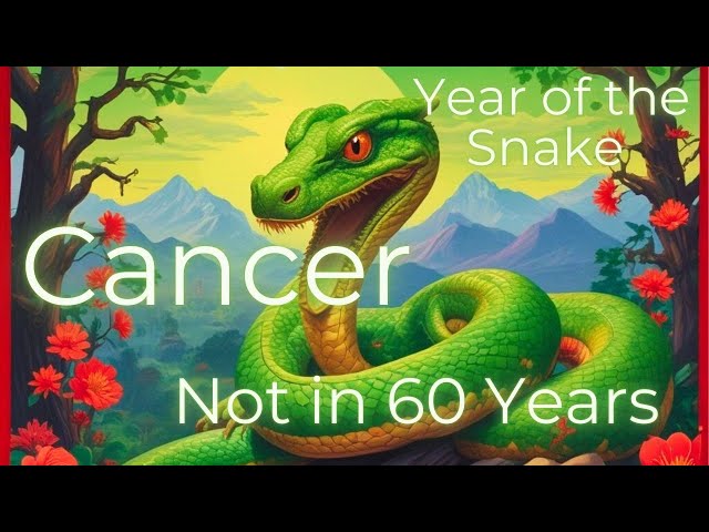 NEW Cancer, Snake Year !! Not Again For 60 Years! Jan 29, 2025 Chinese Lunar New Year Tarot Reading