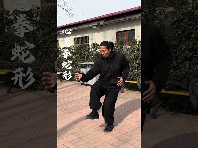 China kungfu Xinyi snake form#wushu #martialarts #kungfu #shorts #xinyi