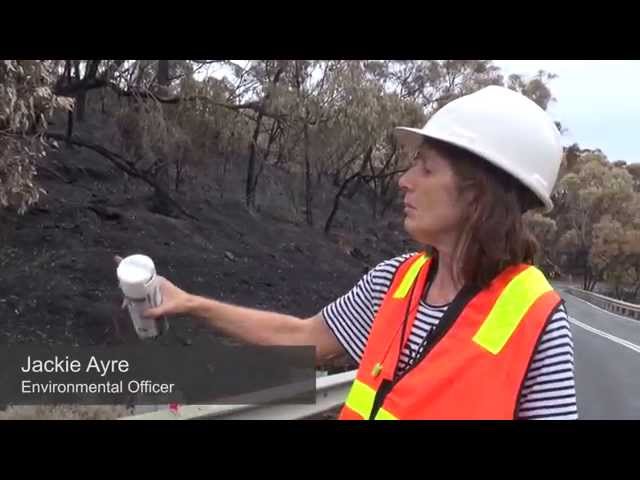 Removing danger following a bushfire