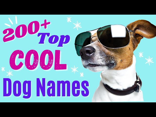 Top 200+ COOL Dog Names – Awesome Dog Name Ideas