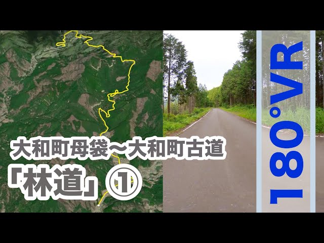 【郡上の道】林道1「大和町母袋〜大和町古道」Insta360 One X2（180VR）