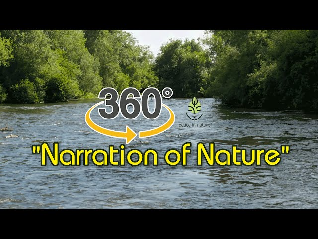 "Narration of Nature: Beauty, Serenity, and Transparency"#360video #video360