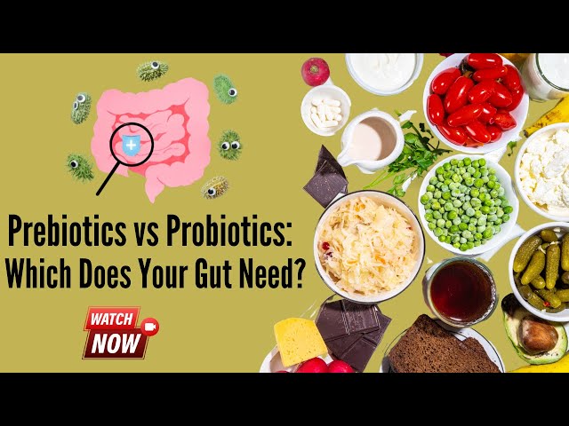 Unlock Your Gut Health: The Power of Prebiotics & Probiotics