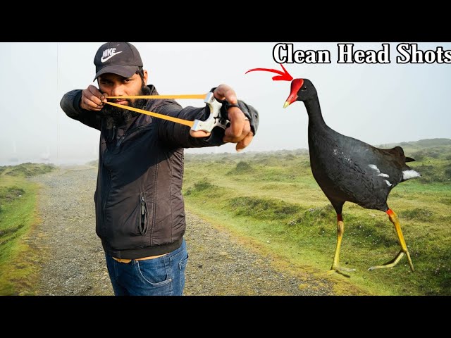 Slingshot Hunting Wild Birds In Chill Winter | Hunting In Pakistan