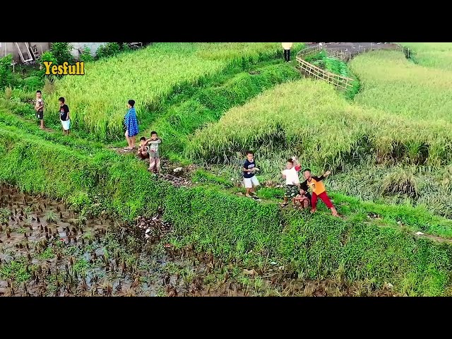 Lagu indah romantis syahdu Bunga Desa