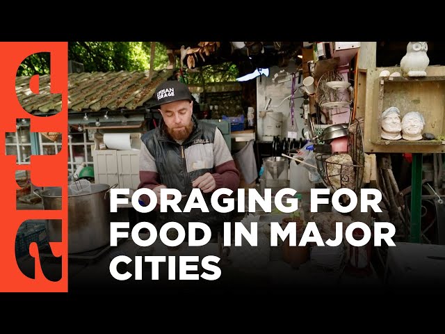 Urban Foraging | ARTE.tv Documentary