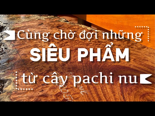 Cùng chờ đợi những siêu phẩm sập gỗ pachi vân nu kinh dị | nội thất Hương Chi