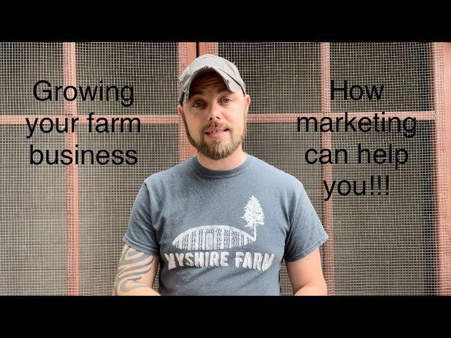 Understanding your quail farm business marketing