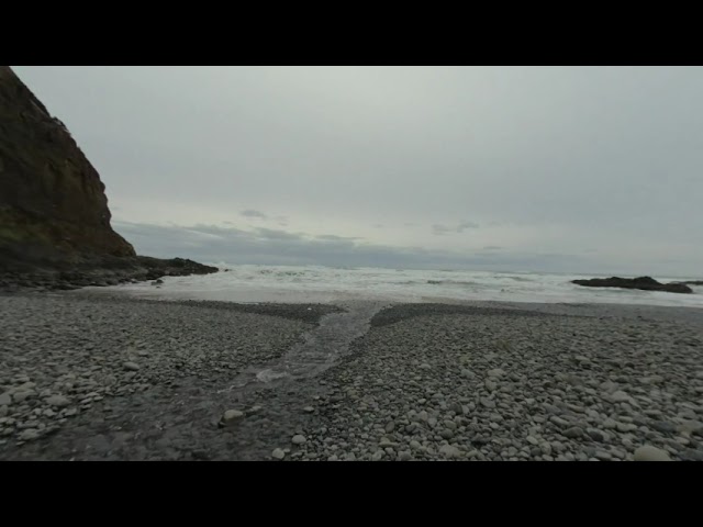 Nature ASMR Short beach